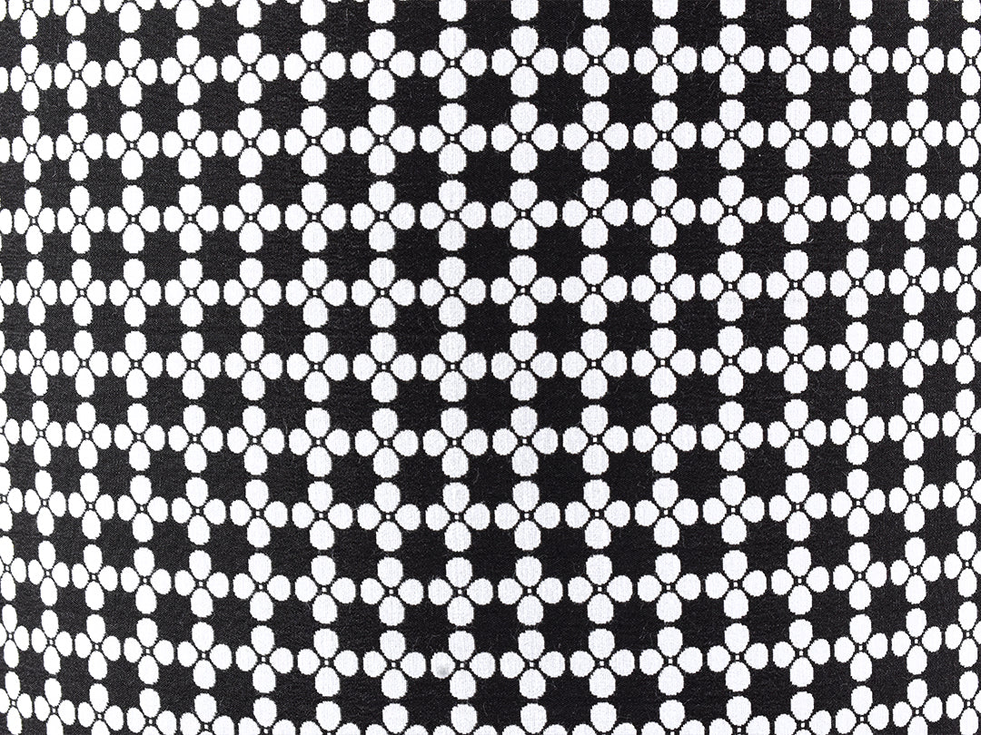Blossom Negro 2